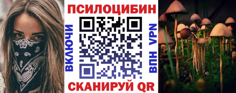 Псилоцибиновые грибы мицелий  Купить закладки  Струнино 